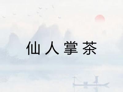 仙人掌茶