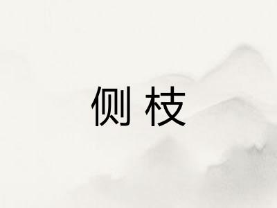 侧枝