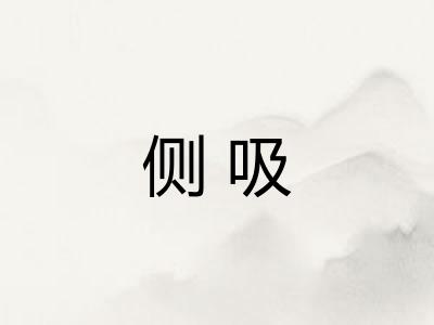 侧吸