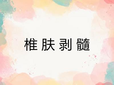椎肤剥髓