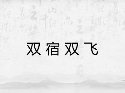 双宿双飞