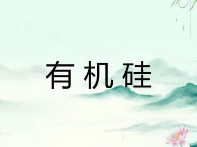 有机硅