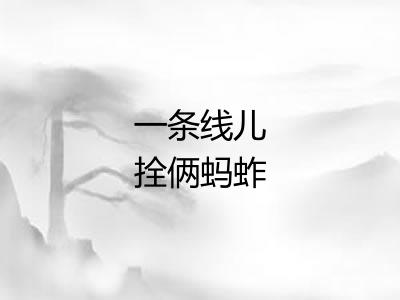 一条线儿拴俩蚂蚱