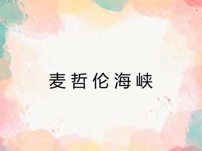 麦哲伦海峡