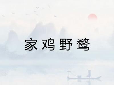 家鸡野鹜
