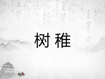 树稚