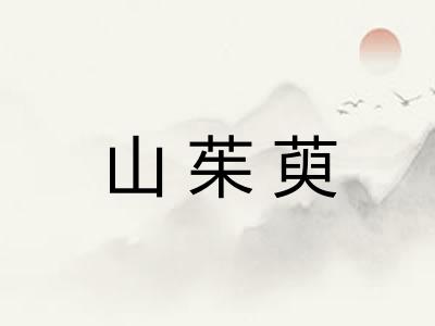 山茱萸