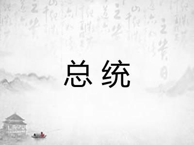 总统