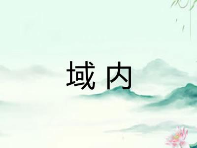 域内
