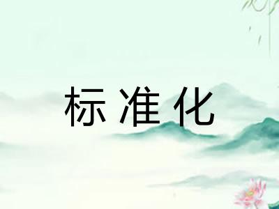 标准化