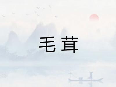 毛茸