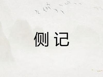 侧记