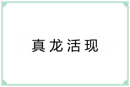 真龙活现