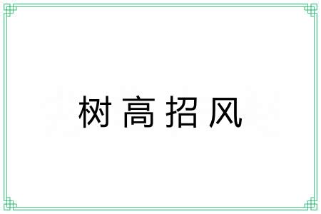 树高招风