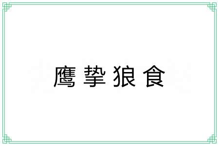 鹰挚狼食